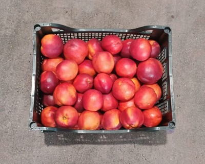 Foto Nettarine Calibro A Origine Grecia Marchio Greek Premium    3